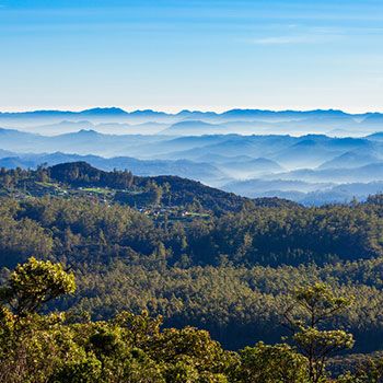 Horton Plains